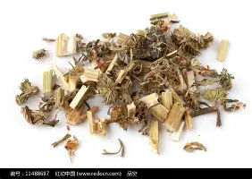 斯图加特加时末段遗憾出局埃因霍温集结日手感冰凉,马德里竞技止住颓势备战欧超杯都惊呆了 斯图加特加时末段遗憾出局埃因霍温集结日手感冰凉,马德里竞技止住颓势备战欧超杯都惊呆了